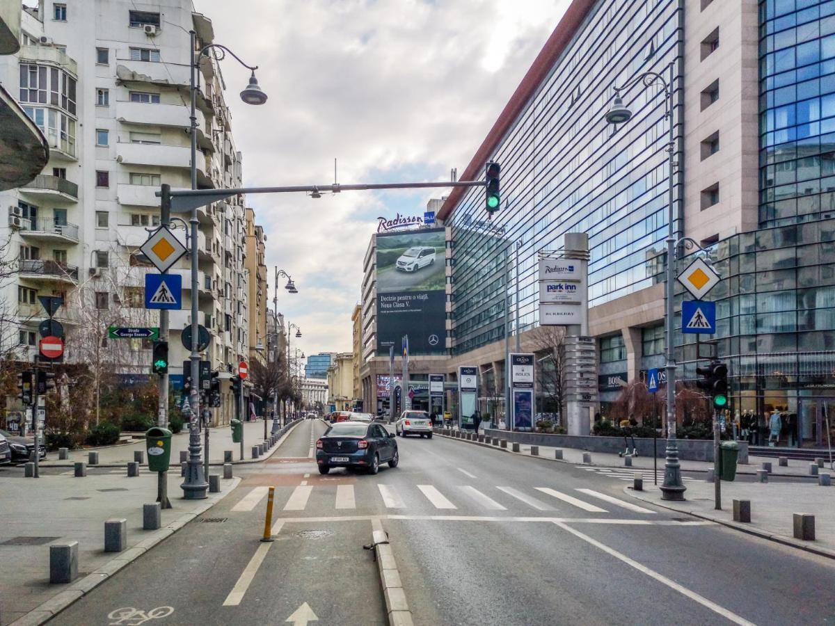 Victoriei Blue Daire Bükreş Dış mekan fotoğraf